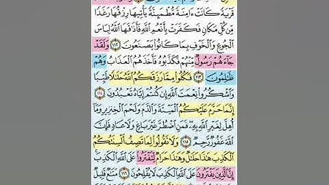 تيسير حفظ سورة النحل بالتكرار الوجه الرابع عشر  الآيات (111-118) مكرر 5 مرات بصوت الشيخ عبد الباسط