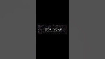 #تلاوة_خاشعة