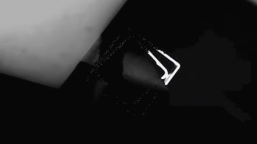 Salicornia Project - a salt-specific performance (1 minute preview)