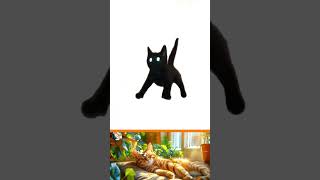 PTSD IN CAT TERMS #shorts #cats