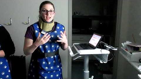 Veterinary Radiology AVMA Video