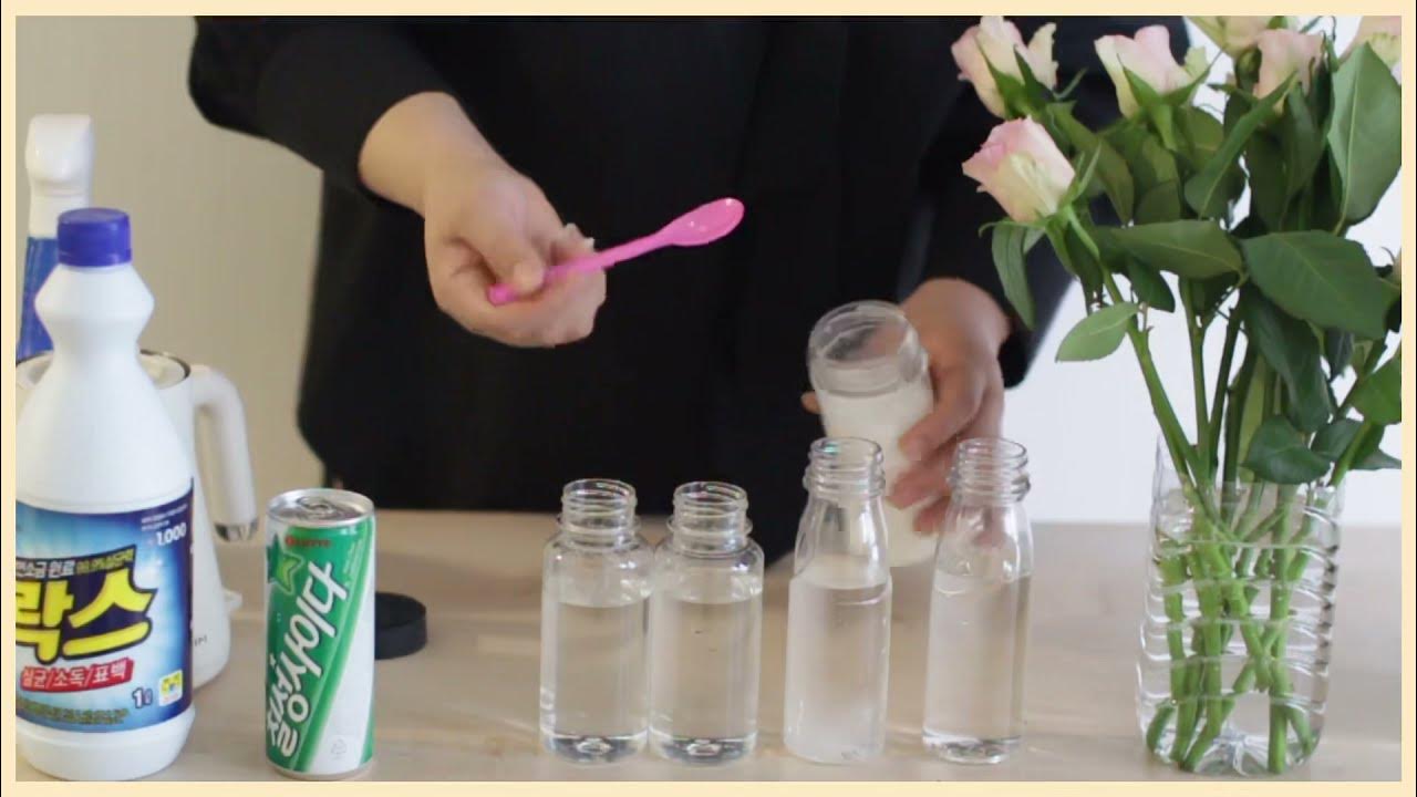 How to keep flowers alive longer 꽃 오래 보는 법을 실험해 보았어요 YouTube