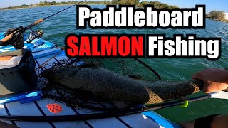 Chinook Salmon caught on a Paddle board!!! 2023 by Ladybug Adventures 381 views 8 months ago 10 minutes, 22 seconds