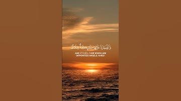 استغفر الله العظيم واتوب اليه. القارئ #ياسر_الدوسري ،سورة التحريم. #quran #القرآن #القرآن_الكريم