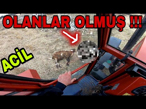 OLANLAR OLMUŞ!! ACİLL YETİŞTİK!! 70 YILLIK HAZİNE ŞİİR