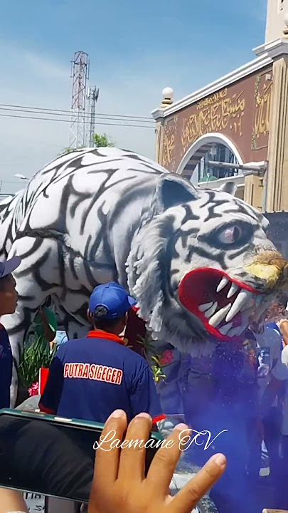 HEBOH !!! Tragedi Harimau terbakar Saat Karnaval #shorts#short#shortvideo