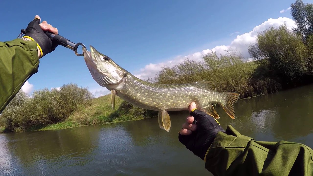 рыбалка на мокше. рыбалка на мокше. рыбалка на мокше. устье реки мокша. мокша река рыбалка.