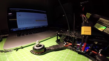 Betaflight 3.1 // DShot600 // on the bench