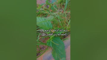 اية من سورة الفاتحة و سورة ق