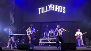 TillyBirds | BanyakBagusFestival at MIECC