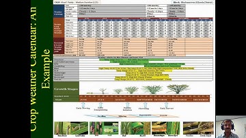 Crop Calendar