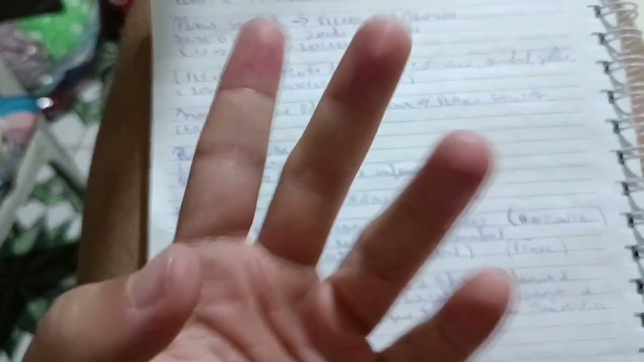 Asmr estudando planos e eixos de movimentos 💪