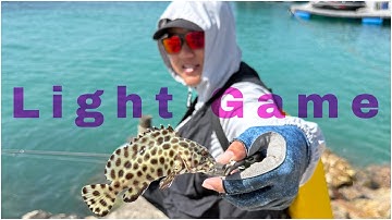 Câu Light Game cá Mú đá ở quần đảo Nam Du , fishing light game ( 2025 )