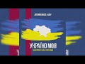 Arturro Mass & Liey - Україно Моя (ALMAZ PROJECT & Alex Fleev Remix)