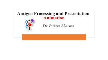 Antigen Processing and Presentation- Animation