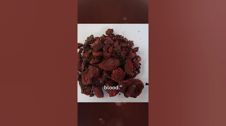 Socotra’s Dragon Blood Trees: The Forest That Bleeds Red 🌳🩸 #shorts #Yemen #Nature