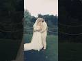 POV: their dream day. #WeddingFilm #CinematicWedding #WeddingVideography #WeddingShorts