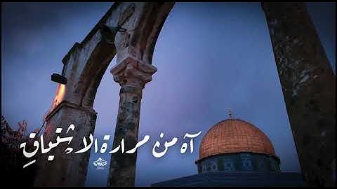 تلاوة نادرة للشيخ هاني الرفاعي سورة يوسف