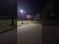 Calm evening #chill #lofi #music #relax