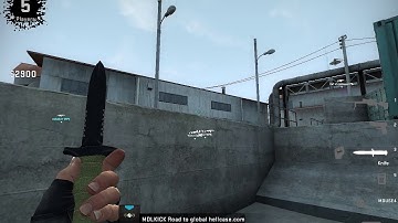 Another regular cheater in CSGO Danger Zone