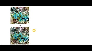 Histogram Equalization | Global Contrast Enhancement