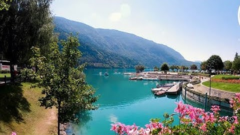 CLASSIFICATION OF PLANTS | FLOWERING & NONFLOWERING | GRADE 5 SCIENCE | CBC