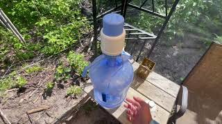 Primo Water Dispenser Pump Review For 5 Gallon Jugs