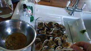 UK limpets picking cooking and eating