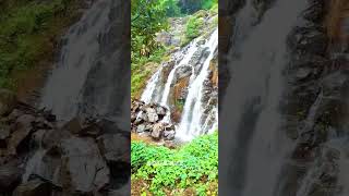 Vellappara Water Falls -Urumbikkara shorts