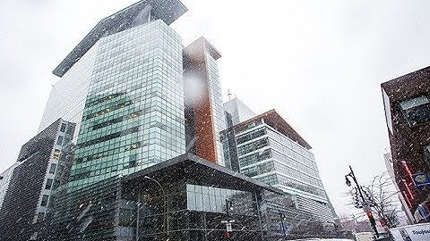 Concordia University update on sexual misconduct allegations