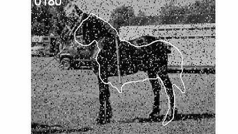 Prior Knowledge, Level Set Representations & Visual Grouping