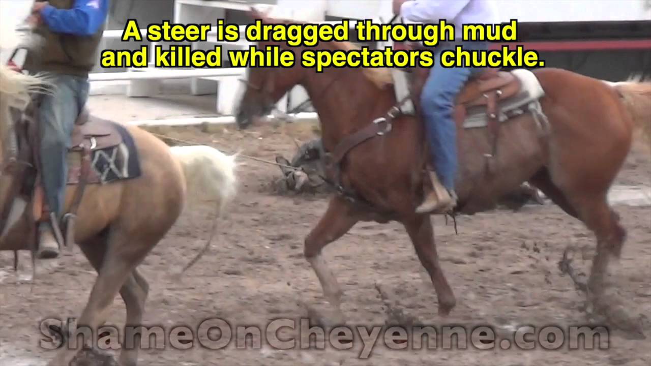 horseshoe bend More Animal Cruelty Sponsored by Century 21