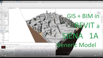 1 SIENA Direct Shape parte1 R1