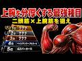 【最新版】上腕を分厚くする最強種目BEST5 ~上腕の前側を構成する上腕二頭筋・上腕筋編~