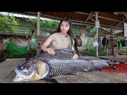 鈴木優香 最新動画 沼地に潜む巨大魚を狙ったら、とんでもない怪物が釣れた...