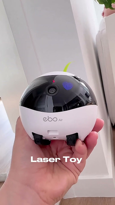 Get ready to meet your pet's best friend – EBO Air!