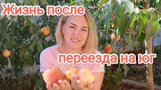 Влог# 365 Жизнь после ПЕРЕЕЗДА на ЮГ ☀🍇🌻 В ГОСТЯХ у подписчиков 🙌