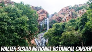 🇿🇦Walter Sisulu National Botanical Garden (Joburg Gem)✔