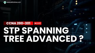 STP - Spanning Tree Protocol Made Easy | Networking Basics 2025 ( Hindi)