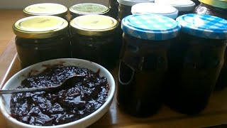 Download lagu Pekmez od šljiva Bosanski bestilj Plum Jam veoma ukusan i zdrav Pekmez od šljiva Bosanski bestilj Plum Jam veoma ukusan i zdrav