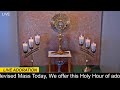 We offer this Holy Hour of Prayer and reflection