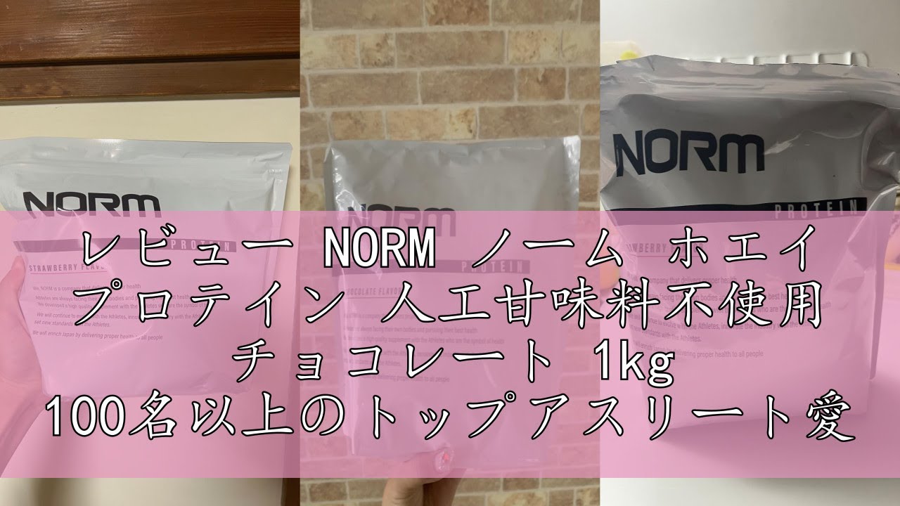 レビュー NORM ノーム ホエイ プロテイン 人工甘味料不使用 