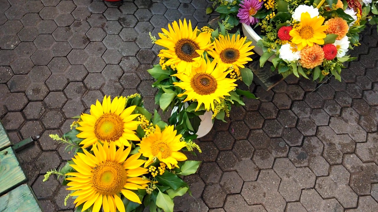 flower market in zagreb YouTube