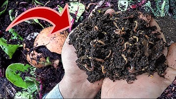 How To Keep Your Worm Bin Productive Throughout The Cold Of Winter