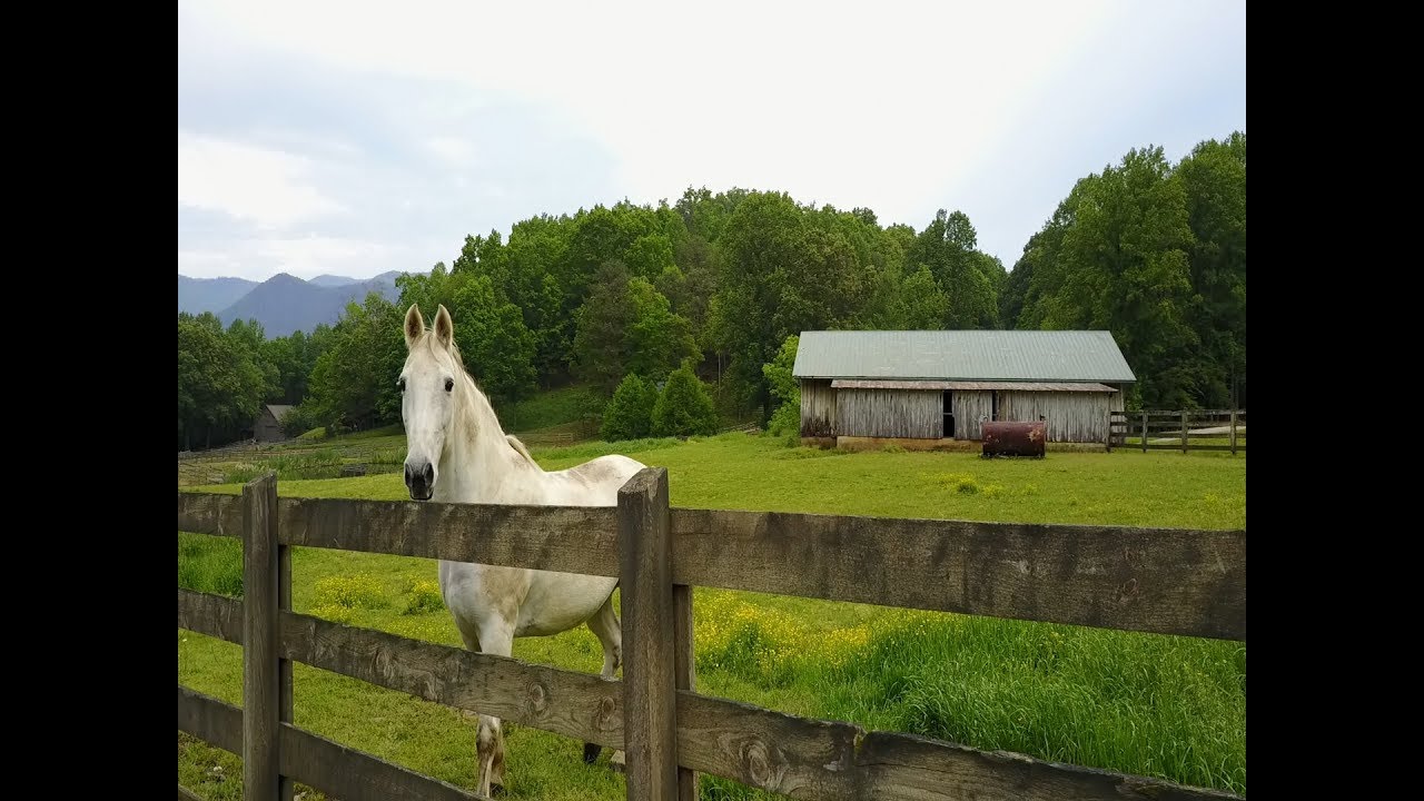 Shiloh Stables Hayesville North Carolina Equestrian Development YouTube