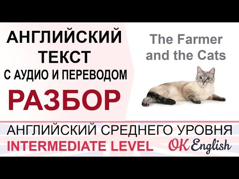 The Farmer and the Cats. Английский текст с переводом. Уроки английского средний уровень