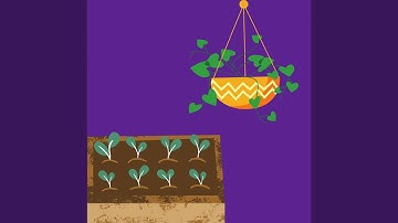 Pulsating Backdrops for Vibrant Times