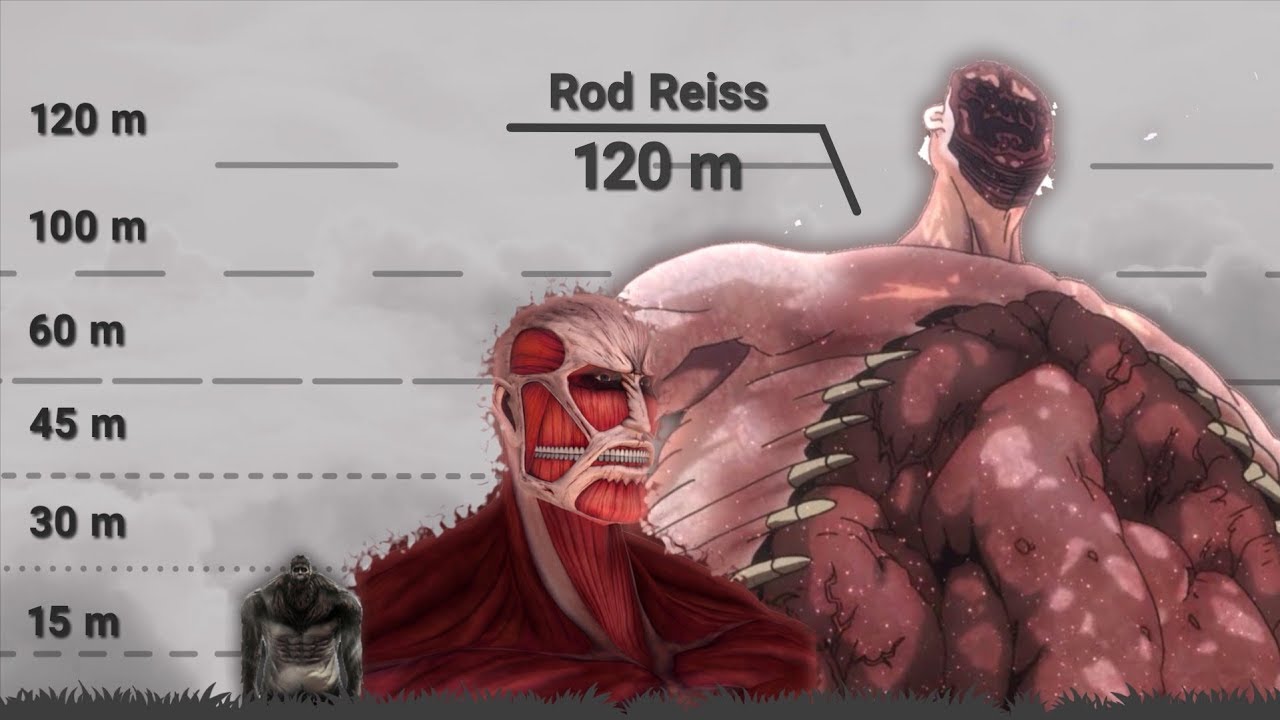 Featured image of post Rod Reiss Titan Size Comparison