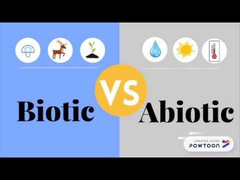 Biotic VS Abiotic Factors I Timely Tutor