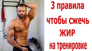 3 Главных Правила Чтобы Сжечь Жир На Тренировке 3 Главных Правила Чтобы Сжечь Жир На Тренировке